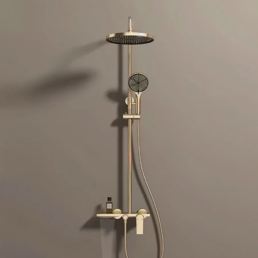 Bersin Shower Head and Faucet